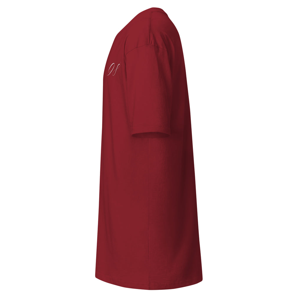 Men's heavyweight T-shirt in brick red by Daemon featuring distilled blood graphic on front.